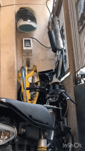 Cu bổi gáy 3 hậu và thúc lại cốt ròng. Mua bán Chim tại Quận Gò Vấp Tp Hồ Chí Minh được đăng bởi Hung  hình 1