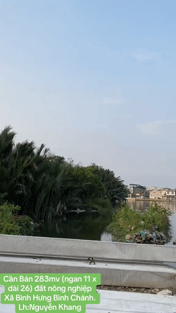 Mua bán Đất Huyện Bình Chánh Tp Hồ Chí Minh diện tích 283 m² giá 3,6 tỷ