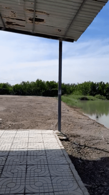 Cho thuê Đất Huyện Cần Giờ Tp Hồ Chí Minh diện tích 12000 m² giá 10 triệu/tháng