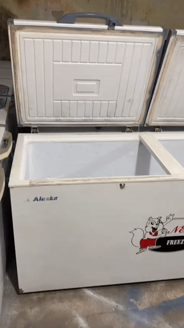 Tủ đông Alaska 700L 2 cánh mở lên cũ. Mua bán Tủ lạnh tại Quận Thanh Xuân Hà Nội được đăng bởi Gia bảo hình 1