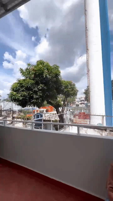 Cho thuê Căn hộ Chung cư Quận 1 Tp Hồ Chí Minh diện tích 40 m² giá 7,9 triệu/tháng
