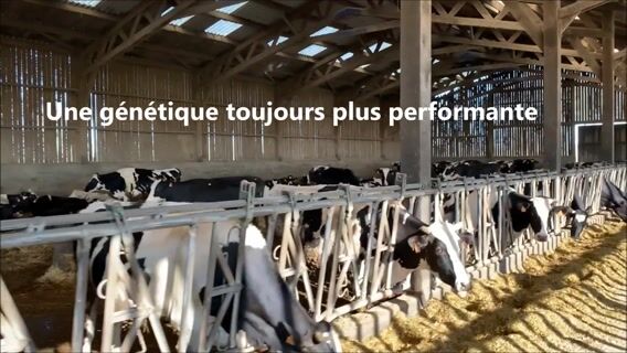 Une génétique toujours plus performante