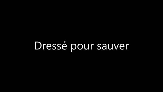 Dressé pour sauver