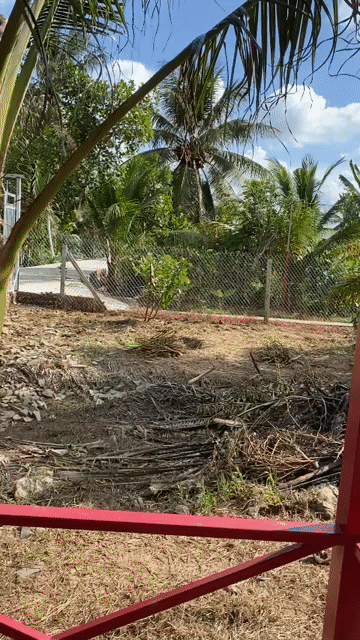Mua bán Đất Huyện Châu Thành Bến Tre diện tích 1970 m² giá 6 tỷ