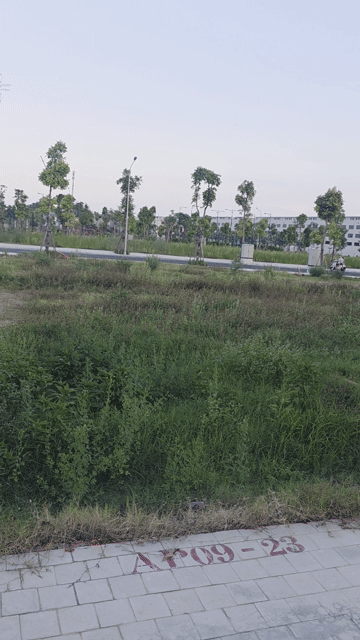 Mua bán Đất Thành phố Thanh Hóa Thanh Hóa diện tích 70 m² giá 3,764 tỷ