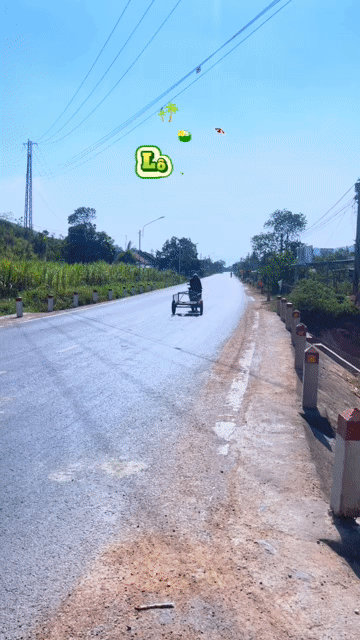 Mua bán Đất Huyện Sơn Hòa Phú Yên diện tích 452 m² giá 380 triệu