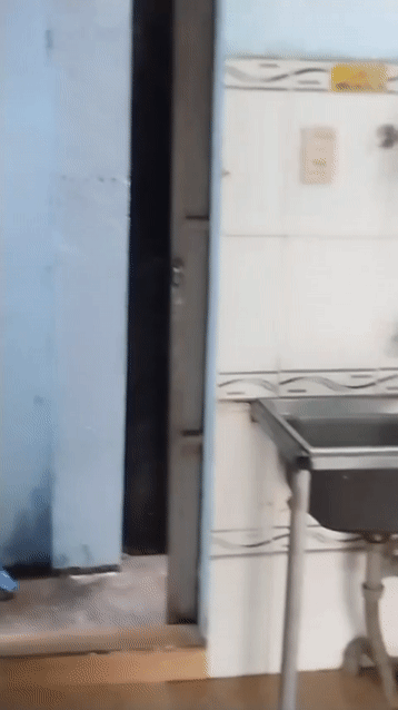 Cho thuê Nhà ở Huyện Hóc Môn Tp Hồ Chí Minh diện tích 52 m² giá 600000 đ/tháng