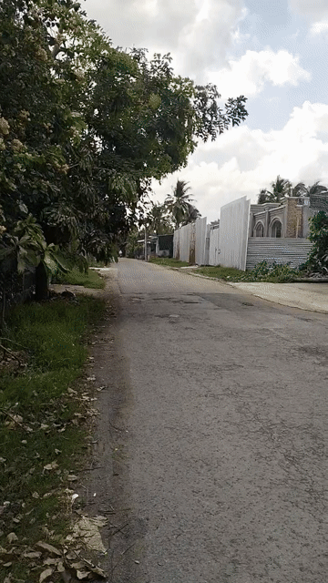 Mua bán Nhà ở Thành phố Bến Tre Bến Tre diện tích 330 m² giá 3,5 tỷ