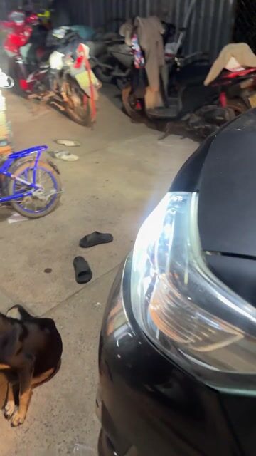 Bóng đèn ô tô Tobys H11 TY-60. Mua bán Phụ tùng xe tại Thành phố Đồng Xoài Bình Phước được đăng bởi truongvantoan hình 1