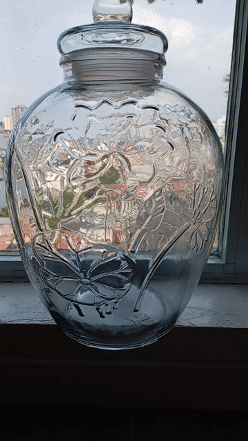 Bình thủy tinh hoa sen nổi dáng cái chum cao 44cm. Mua bán Dụng cụ nhà bếp tại Quận Long Biên Hà Nội được đăng bởi Tên chưa cung cấp hình 1