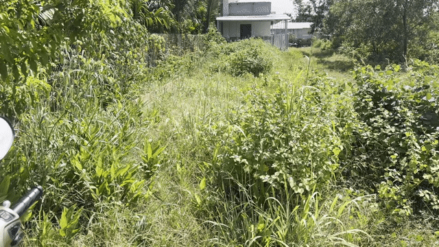 Mua bán Đất Huyện Gò Dầu Tây Ninh diện tích 179.8999 m² giá 890 triệu