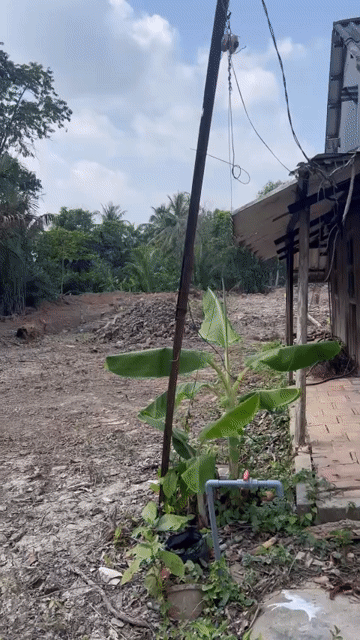 Cho thuê Đất Thành phố Mỹ Tho Tiền Giang diện tích 2000 m² giá 20 triệu/tháng