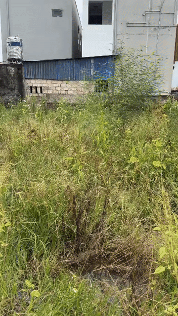 Mua bán Đất Huyện Thuỷ Nguyên Hải Phòng diện tích 60 m² giá 1 tỷ