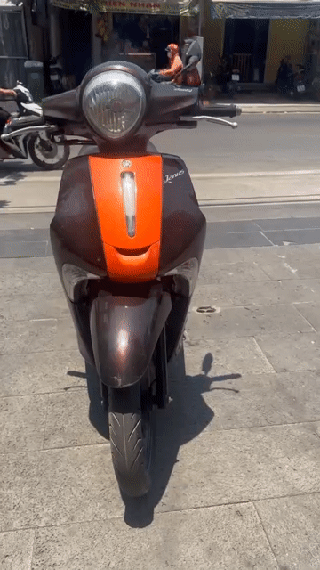 Yamaha Janus 2018 khoá smartkey,xe đẹp máy êm ru. Mua bán Xe máy tại Quận 7 Tp Hồ Chí Minh được đăng bởi Trung Anh hình 1