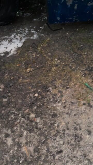 Xe nhà chính chủ cần bán tải 1t8 thùng dài 4m2 mái. Mua bán Xe tải, xe ben tại Huyện Dương Minh Châu Tây Ninh được đăng bởi chà là hình 1