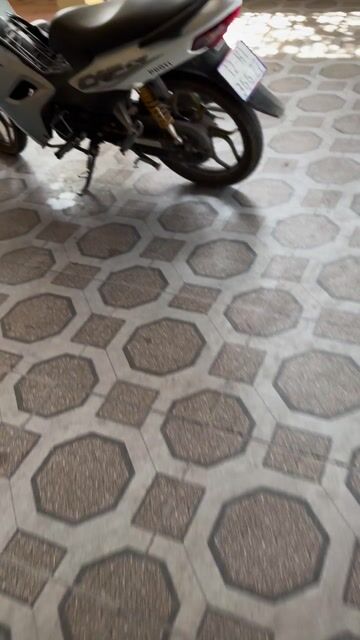 bán chihuahua bắc ninh. Mua bán Chó tại Thành phố Bắc Ninh Bắc Ninh được đăng bởi Phuong Anh hình 1