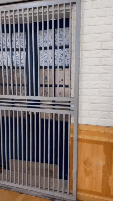 Cho thuê Căn hộ Chung cư Quận Thanh Xuân Hà Nội diện tích 25 m² giá 3,5 triệu/tháng