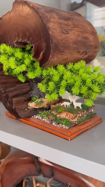 Tiểu cảnh gỗ lũa trang trí decor. Mua bán Cây cảnh, đồ trang trí tại Quận Tân Phú Tp Hồ Chí Minh được đăng bởi A Xìn hình 1