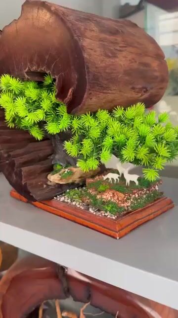 Tiểu cảnh gỗ lũa trang trí decor. Mua bán Cây cảnh, đồ trang trí tại Quận Tân Phú Tp Hồ Chí Minh được đăng bởi A Xìn hình 1