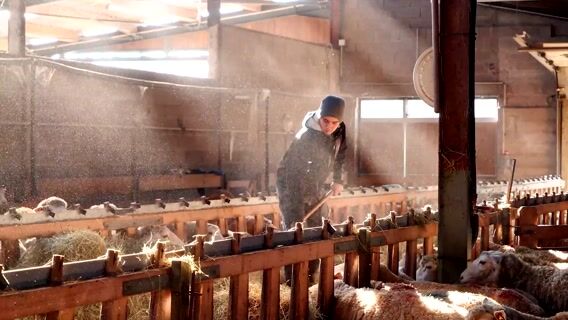 Région Auvergne-Rhône-Alpes