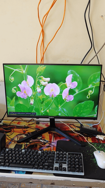 Màn hình KingView 24 inch Full HD 75Hz. Mua bán Phụ kiện (Màn hình, Chuột...) tại Thành phố Buôn Ma Thuột Đắk Lắk được đăng bởi VI TÍNH QUỐC NGUYÊN  hình 1