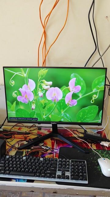 Màn hình KingView 24 inch Full HD 75Hz. Mua bán Phụ kiện (Màn hình, Chuột...) tại Thành phố Buôn Ma Thuột Đắk Lắk được đăng bởi VI TÍNH QUỐC NGUYÊN  hình 1