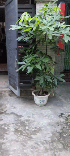 Mua bán Nhà ở Quận 11 Tp Hồ Chí Minh diện tích 62 m² giá 14 tỷ
