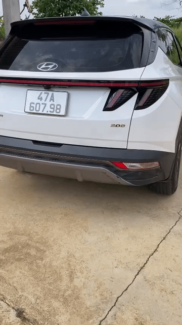 Hyundai Tucson 2023 màu Trắng. Mua bán Ô tô tại Huyện Ea Kar Đắk Lắk được đăng bởi Vũ My hình 1