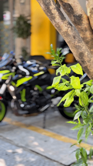 Kawasaki Z650 đời mới Odo 5.000 km zin 99%. Mua bán Xe máy tại Quận Thanh Khê Đà Nẵng được đăng bởi Xe Máy Đức Vũ 658 Trần Cao Vân hình 1