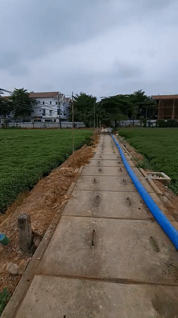 Mua bán Đất Huyện Hóc Môn Tp Hồ Chí Minh diện tích 2000 m² giá 16 tỷ