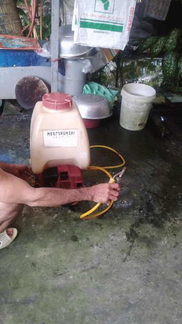 Máy xịt thuốc MEGASHUNZHI ENGINE 139F còn chạy tốt. Mua bán Đồ chuyên dụng, Giống nuôi trồng tại Huyện Gò Công Tây Tiền Giang được đăng bởi Cầy tơ hình 1