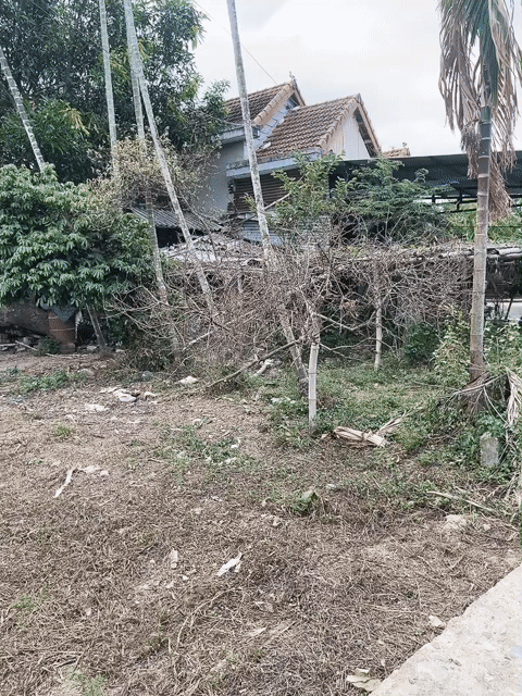 Mua bán Đất Huyện Hòa Vang Đà Nẵng diện tích 185 m² giá 750 triệu