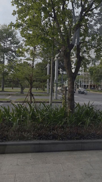 Cho thuê Văn phòng, Mặt bằng kinh doanh Urban Hill Quận 7 Tp Hồ Chí Minh diện tích 236 m² giá 198 triệu/tháng