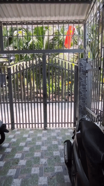 Mua bán Nhà ở Thành phố Bến Tre Bến Tre diện tích 203 m² giá 3,6 tỷ