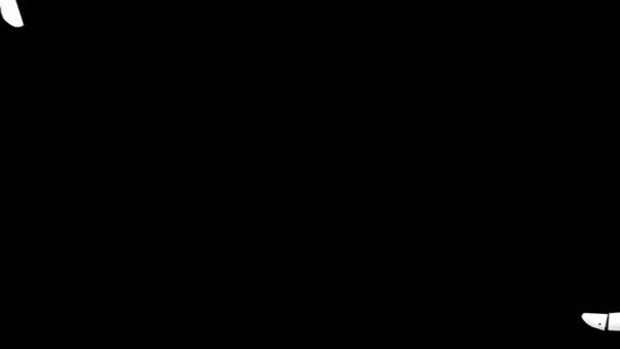 Téléchirurgien