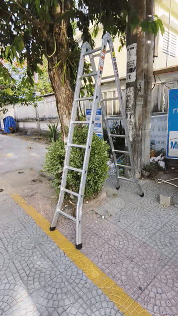 Thang nhôm Ninda A250 2m5. Mua bán Đồ chuyên dụng, Giống nuôi trồng tại Quận Sơn Trà Đà Nẵng được đăng bởi Thuỳ Trang hình 1