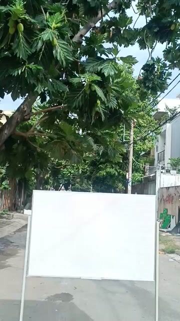 Bảng trắng kim loại 1m2x80cm thanh lý giá rẻ. Mua bán Đồ dùng văn phòng tại Quận 12 Tp Hồ Chí Minh được đăng bởi Kho Nội thất Cũ Mới Phú Nhàn hình 1