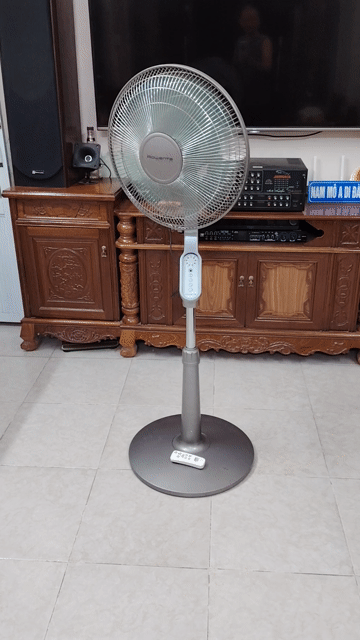 Quạt cây Rowenta Xám. Mua bán Quạt tại Quận Ba Đình Hà Nội được đăng bởi Nguyễn Đức đạt   hình 1