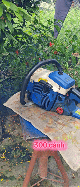 Máy cưa Hyundai RD-4110 Xanh Trắng. Mua bán Đồ chuyên dụng, Giống nuôi trồng tại Huyện Càng Long Trà Vinh được đăng bởi Nhân  hình 1