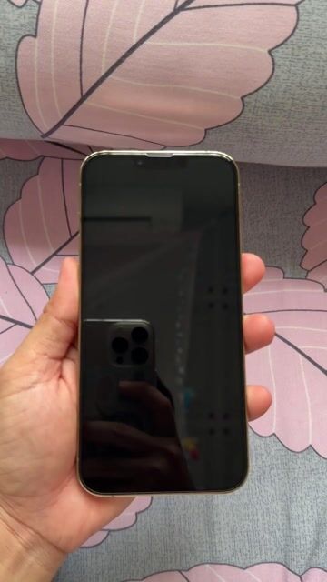 iPhone 13 Pro Max 128G Màu Vàng mới 98% 99%. Mua bán Điện thoại tại Huyện Phước Long Bạc Liêu được đăng bởi Nguyễn Minh Thành hình 1