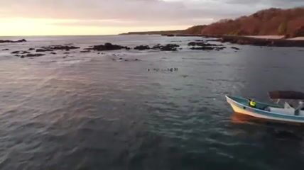 Snorkeling Boat Tour for up to 9 Guests