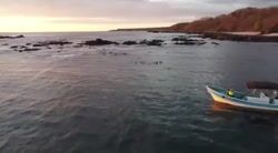 Snorkeling Boat Tour for up to 9 Guests