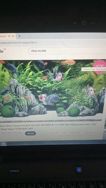 Laptop Toshiba Celeron, ram 3, chạy nhanh. Mua bán Laptop tại Thị xã Ngã Năm Sóc Trăng được đăng bởi Điện tử giá rẻ hình 1