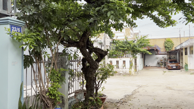 Cho thuê Nhà ở Thành phố Buôn Ma Thuột Đắk Lắk diện tích 40 m² giá 3,8 triệu/tháng