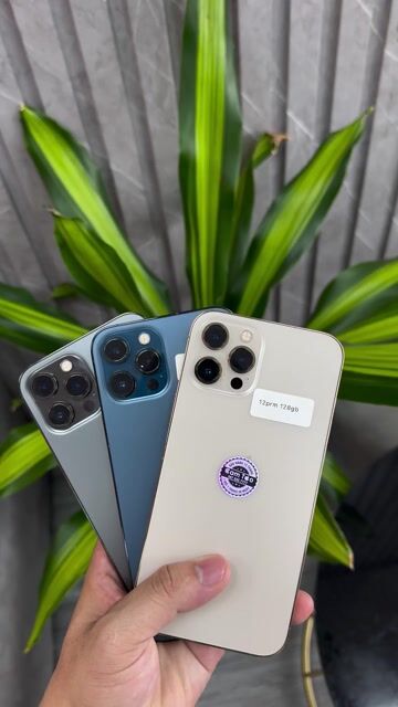 12PROMAX ZIN QT HỖ TRỢ GOP ( bao nợ xấu❤️). Mua bán Điện thoại tại Thành phố Thuận An Bình Dương được đăng bởi danh cam táo hình 1