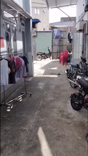 Cho thuê Phòng trọ Thành phố Thủ Đức Tp Hồ Chí Minh diện tích 30 m² giá 2,8 triệu/tháng