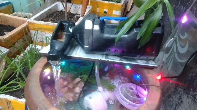 Bán hồ cá thủy sinh. Mua bán Thú cưng khác tại Thành phố Dĩ An Bình Dương được đăng bởi a Út hình 1