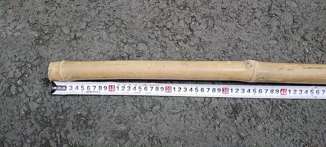 Cây tầm vong Tre 2.05 mét Nâu nhạt. Mua bán Cây cảnh, đồ trang trí tại Quận Tân Bình Tp Hồ Chí Minh được đăng bởi Bách Hóa Philip hình 1