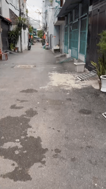Cho thuê Nhà ở Quận Gò Vấp Tp Hồ Chí Minh diện tích 37 m² giá 10 triệu/tháng