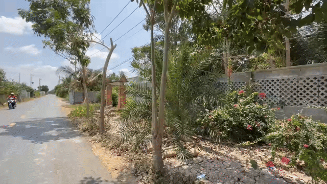 Mua bán Đất Huyện Thủ Thừa Long An diện tích 178.8999 m² giá 1,95 tỷ